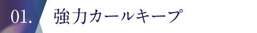 強力カールキープ