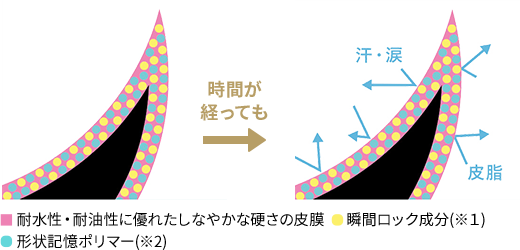 強力カールキープ 図説