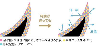 強力カールキープ 図説