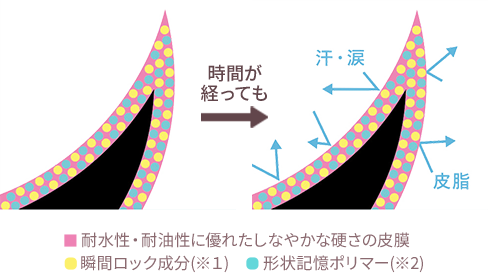 強力カールキープ 図説
