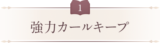 強力カールキープ